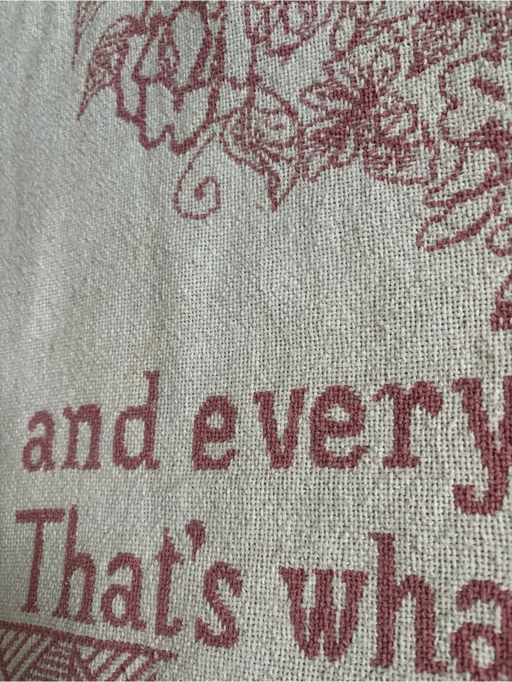 Sugar and Spice Pink Woven Throw Blanket